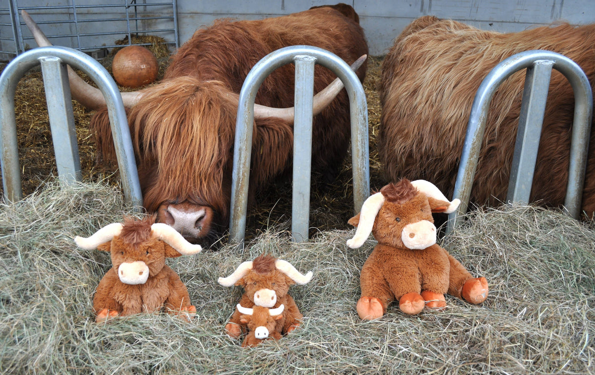 Horny Highland Cow Plush Brown Medium Soft Toy - 23cm