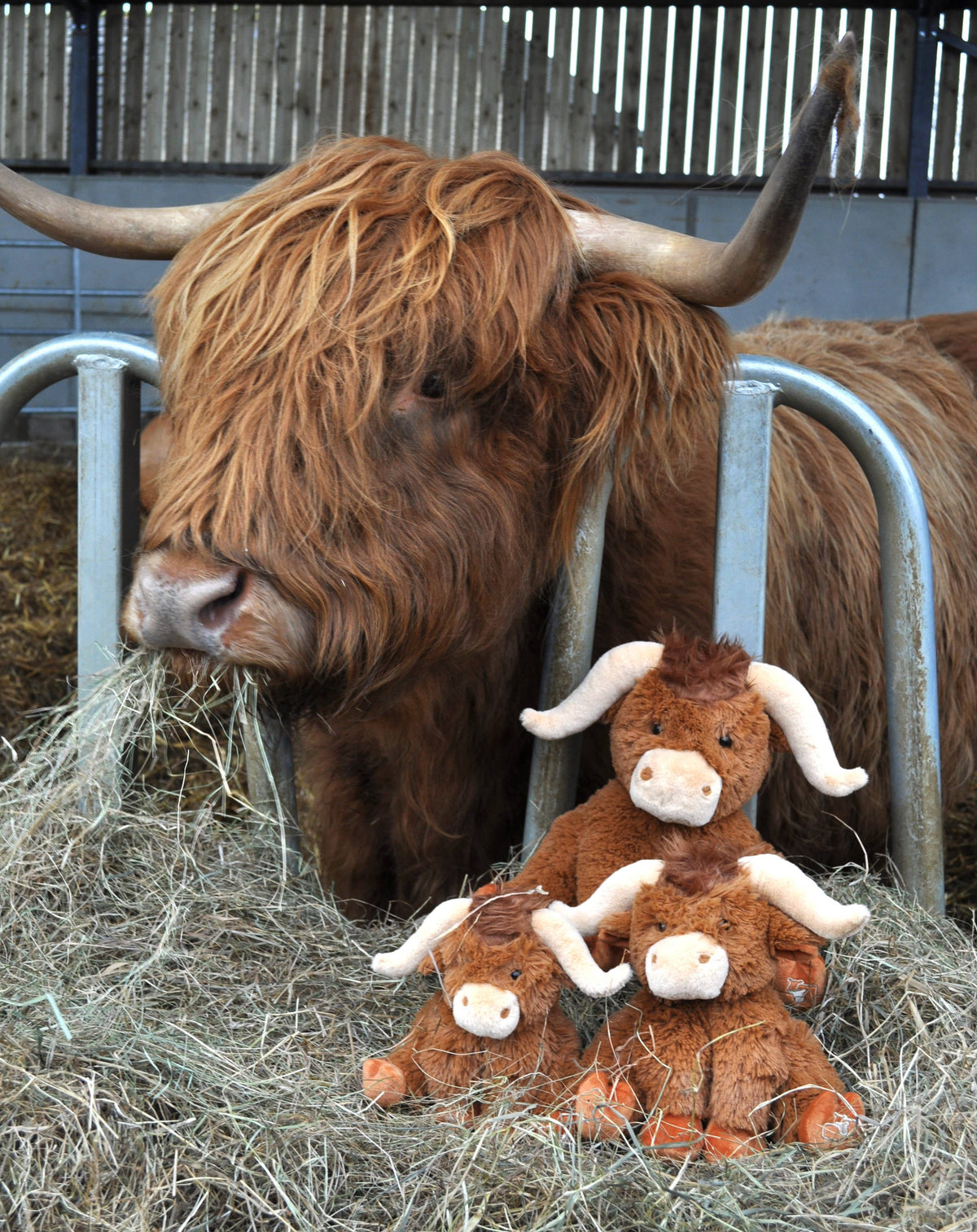Horny Highland Cow Plush Brown Medium Soft Toy - 23cm
